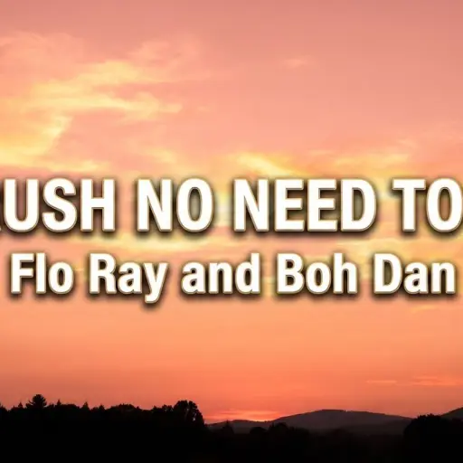 Обкладинка: No Rush No Need To Run Remix - FLO RAY & Bohdan (Deep House Remix)